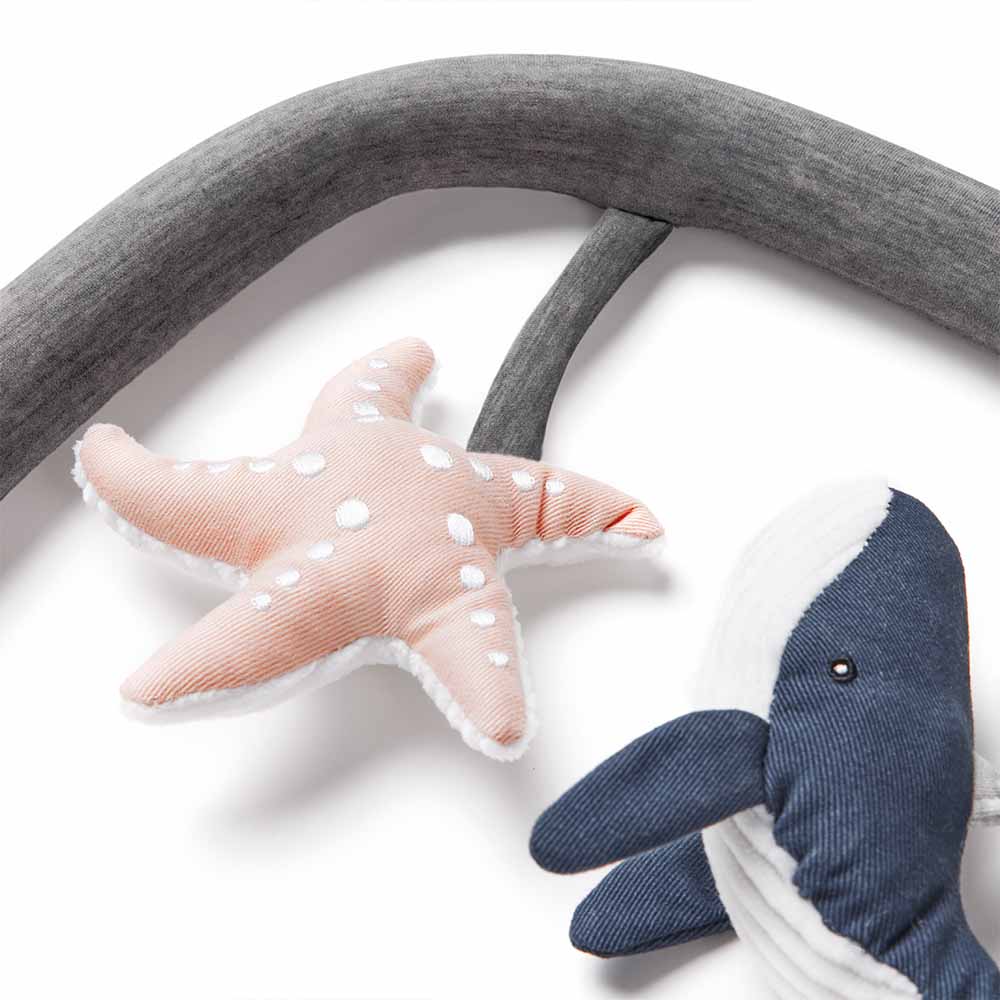 Evolve Bouncer Toy Bar - Charcoal Grey: Ocean Wonders